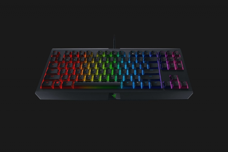 Razer Blackwidow Tournament Edition Chroma V2 Mechanical Gaming Keyboard Us Layout Frml Yellow Switch Rz03